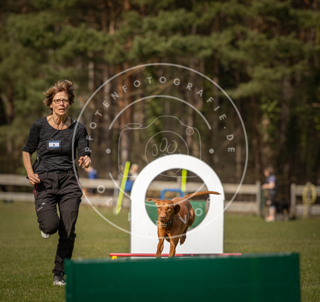Pfotenfotografie_DV3A0215 | Hundefotografie, Tierfotograf, Pfotenfotografie, Fotoshooting Hund, Hunde Portrait, Hundesport, Hundeportraits, Heideshooting, Hunde, Sportfotograf, Hundefotograf, Turnierhundsport, THS,  - Realisiert mit Pictrs.com