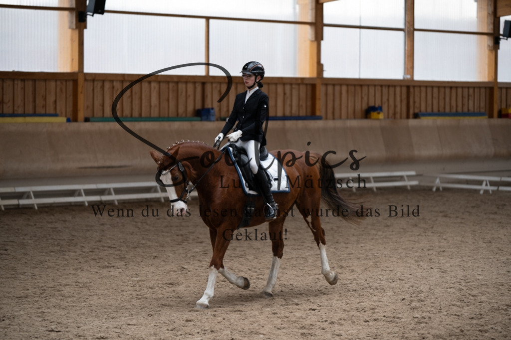 A7V09773 | Pferdefotograf