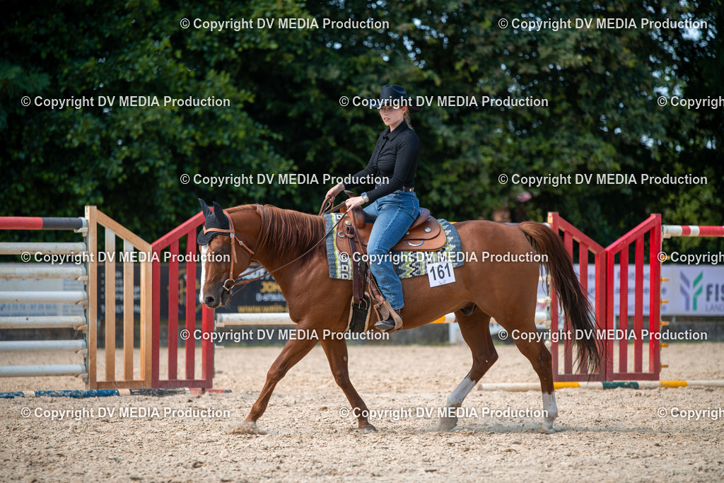 EWP_6867 | dv-media-shop - Realisiert mit Pictrs.com