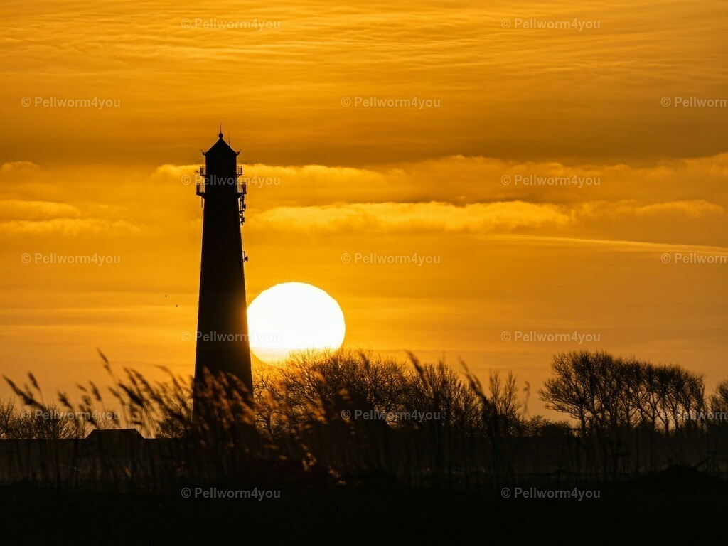 pellworm-kalender-2024-10-denoise-enhance-2x-sharpen | Pellwormer Bilder und Fotos als Poster, auf Leinwand mit Keilrahmen, hinter Acrylglas, auf Alu-Dibond oder Forex-Platte und vieles mehr. Zum verschenken, für die Ferienwohnung oder für zu Hause. - Realisiert mit Pictrs.com