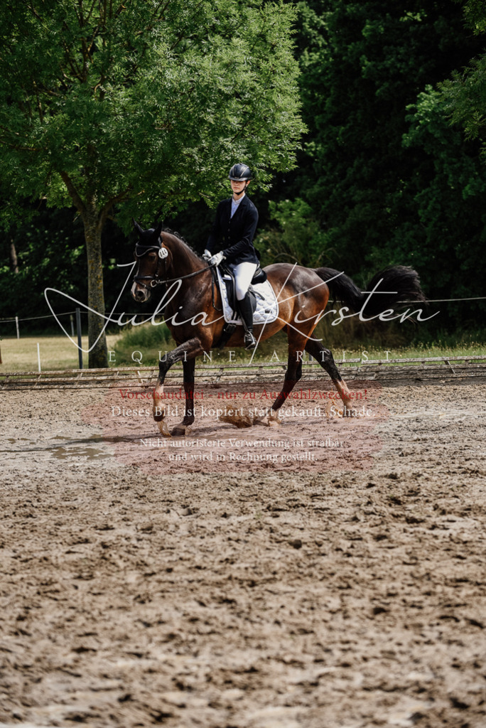 DSC_0844 | Pferde- und Turnierfotografie in Westsachsen. Pferdeportraits, Auftragszeichnungen und intuitive Kunst.