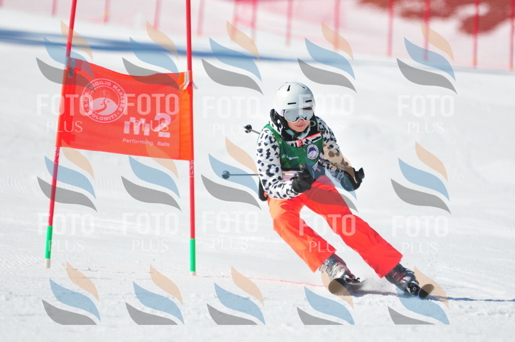 C3784 | holidayphoto