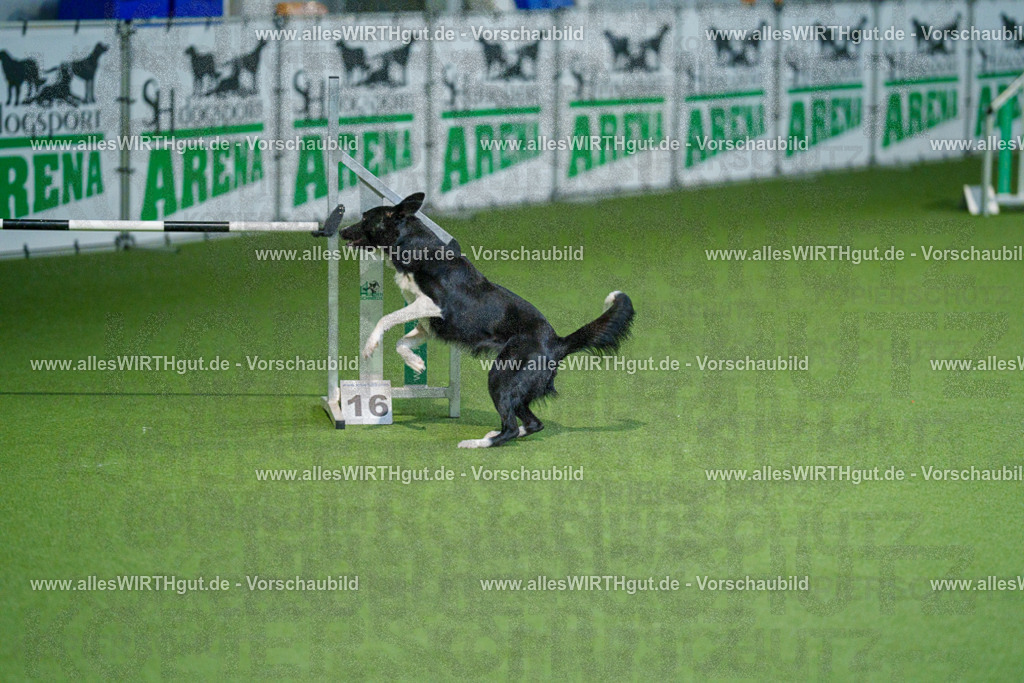 @allesWIRTHgut_Tierfotografie - www.allesWIRTHgut.de - 2604250831-7R506921 | Professionelle Tierfotografie in Mönchengladbach von Daniel Wirth (allesWIRTHgut). Liebevolle & natürliche Bilder von Hunden & Katzen für unvergessliche Erinnerungen.
