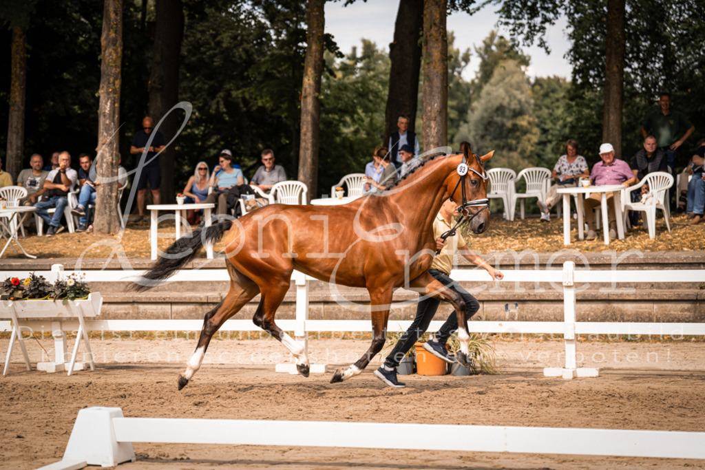 6.Fr00121 | Leoni Ertmer Photography - Realisiert mit Pictrs.com