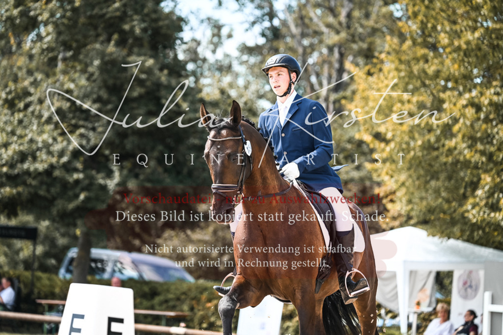 DSC_5437 | Pferde- und Turnierfotografie in Westsachsen. Pferdeportraits, Auftragszeichnungen und intuitive Kunst.