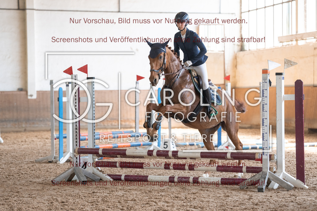 DSC00610 | Reitturnier_Göppingen_April_2026, Olivia_Bisch, Quebec_71