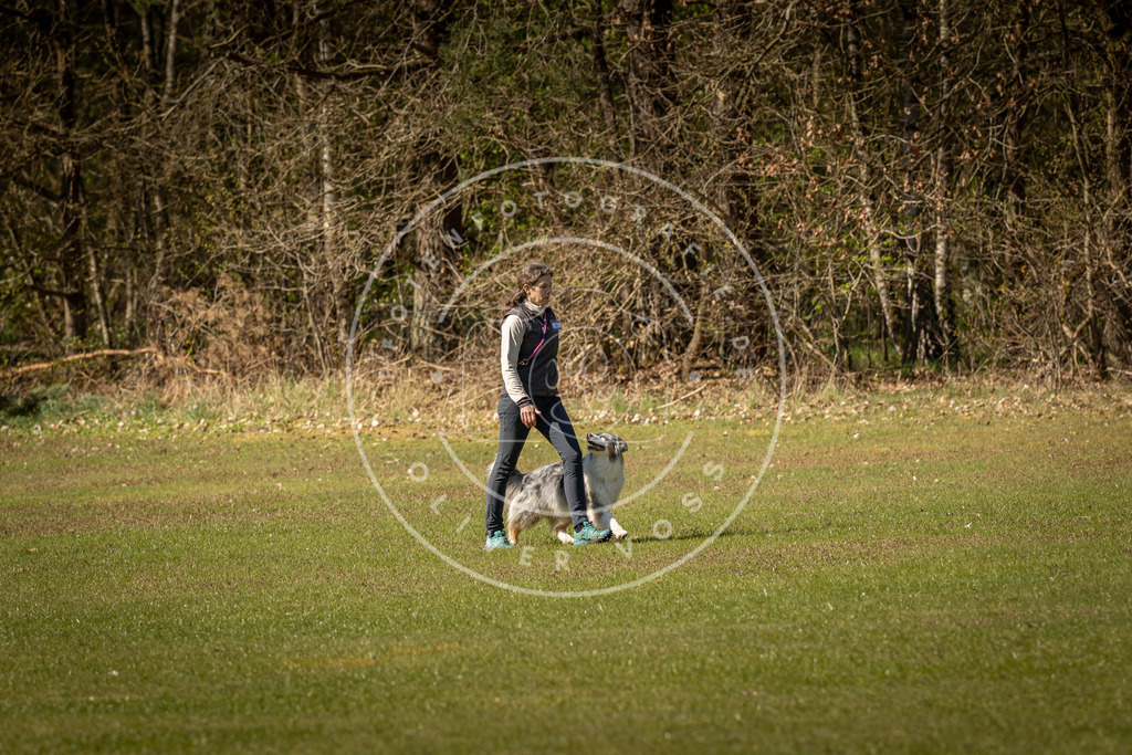 Pfotenfotografie_DV3A0496 | Hundefotografie, Tierfotograf, Pfotenfotografie, Fotoshooting Hund, Hunde Portrait, Hundesport, Hundeportraits, Heideshooting, Hunde, Sportfotograf, Hundefotograf, Turnierhundsport, THS,  - Realisiert mit Pictrs.com