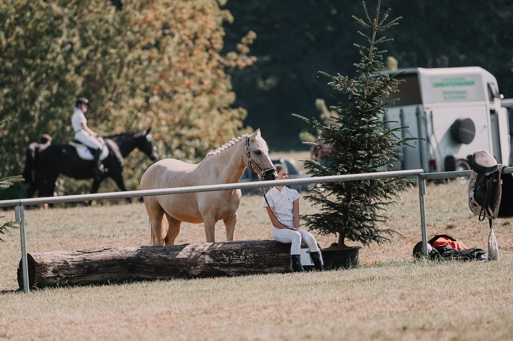 DSC_6785 | Pferde- und Turnierfotografie in Westsachsen. Pferdeportraits, Auftragszeichnungen und intuitive Kunst.