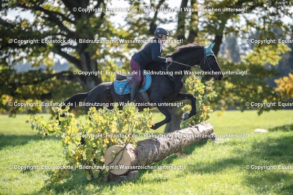 20251011_Jagd-Marbach_0420 | Foto: Thomas Hartig