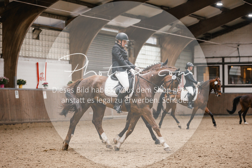 3I6A7919 | Stimmungsvolle Portraits und Reitsportfotografie im Ruhrgebiet und im Münsterland.

Pferdefotografie, Hundefotografie, Tierfotografie, Reportagen, Portraits von Tier und Mensch, Turnierfotografie in Bochum, Recklinghausen, Marl, Haltern am See, Dülmen.. - Realisiert mit Pictrs.com