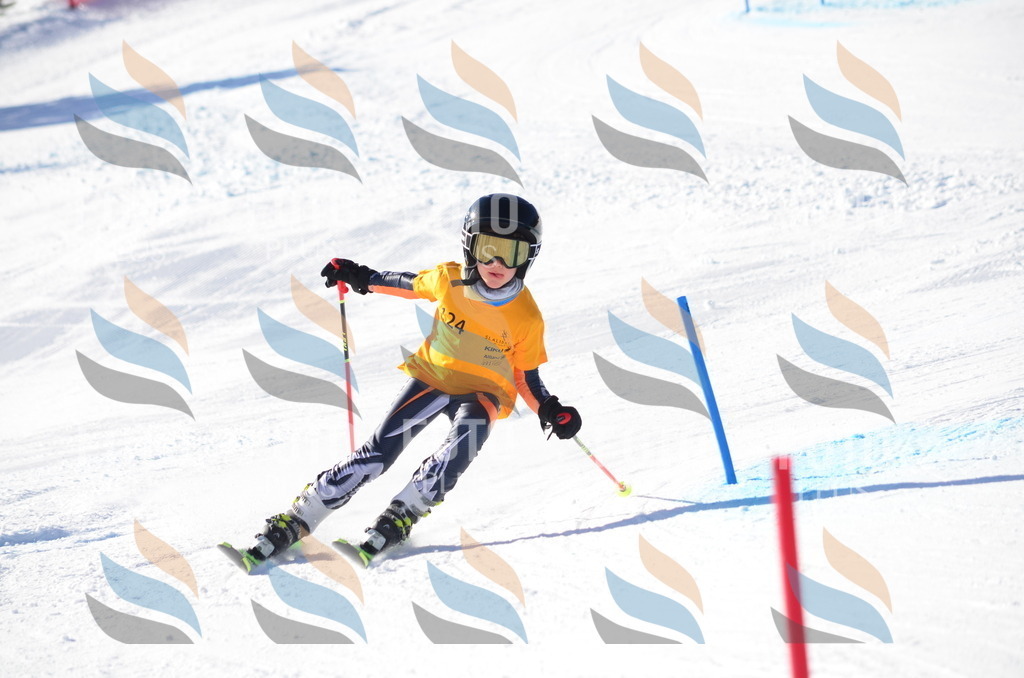 C6380 | holidayphoto