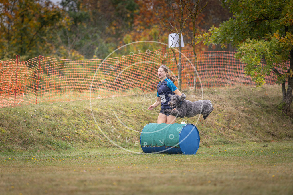 Pfotenfotografie_DV3A1399 | Hundefotografie, Tierfotograf, Pfotenfotografie, Fotoshooting Hund, Hunde Portrait, Hundesport, Hundeportraits, Heideshooting, Hunde, Sportfotograf, Hundefotograf, Turnierhundsport, THS,  - Realisiert mit Pictrs.com