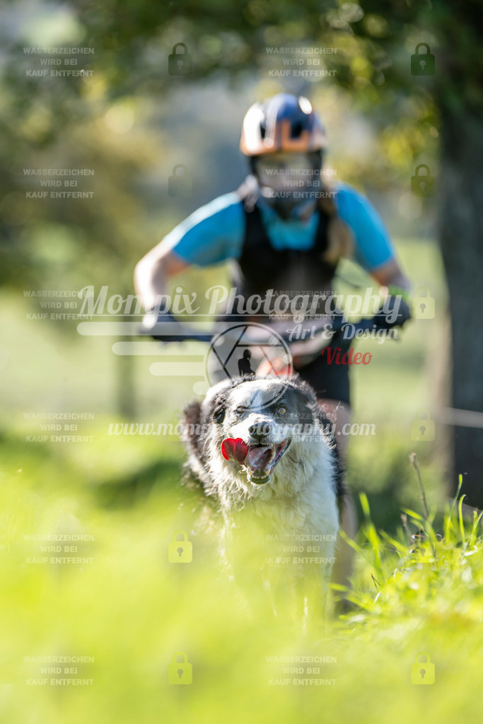 MompixPhotography_20TSB_E3_DS1-90 | PayLife