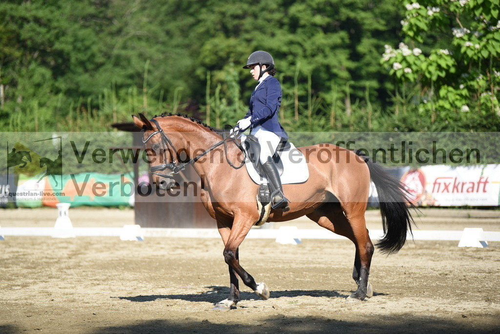 DSC_7207 | equestrian-live-com