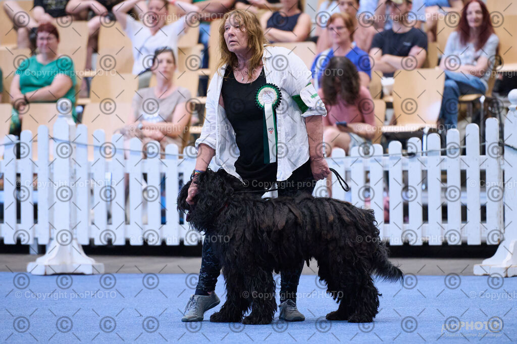 202406_ÖKV-IHA-Tulln24_DSC_3796 | proPHOTO - Realisiert mit Pictrs.com