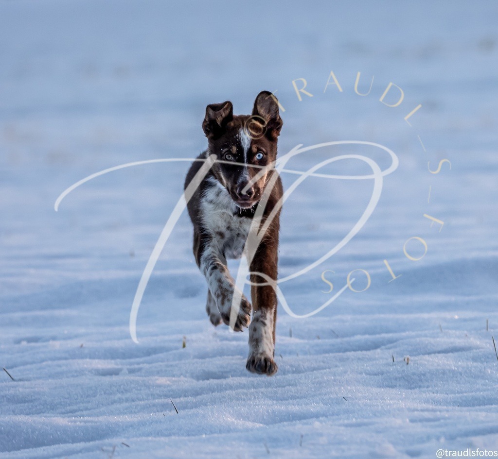 0C449F9D-3704-4991-ADA2-57BBFA1C2B6D | traudl_s_fotos