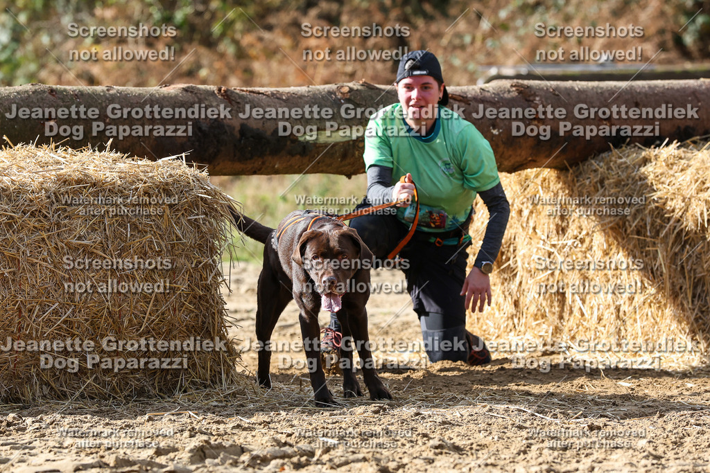 Dog Paparazzi - Strongdog 10-25-5233 | Dog Paparazzi Jeanette Grottendiek Fotografie & Videografie - Realisiert mit Pictrs.com