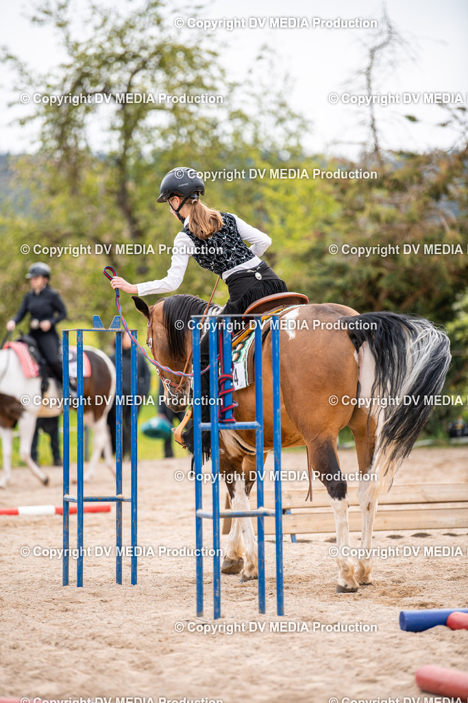 Balingen Tag 2-366 | dv-media-shop - Realisiert mit Pictrs.com