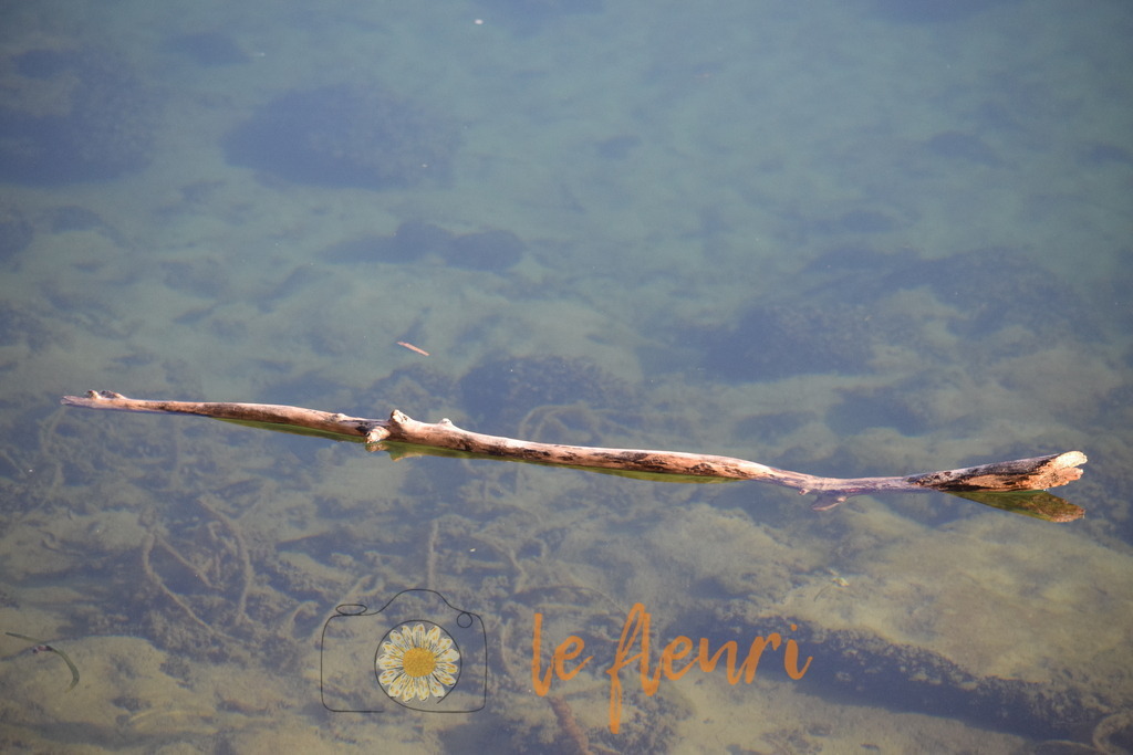 Da bin ich :) | Dies ist der Shop von Florian Blum - le fleuri. Langenthal, Bern, Schweiz. Sie können hier meine oder ihre eigenen Fotos als Fotoprodukte kaufen. Tassen, Schlüsselanhänger, Taschen etc. können Sie hier gestalten.  - Realisiert mit Pictrs.com