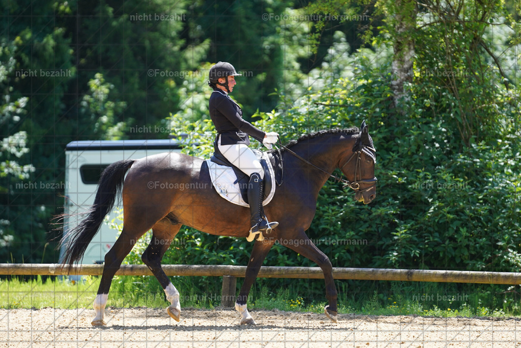 20240705-FAH03935 | Turnierbilder von Grafing, Reitsportbilder, Turnierfotos, Turnierfotografen Bayern, Pferdefotograf, Fotoagentur Herrmann