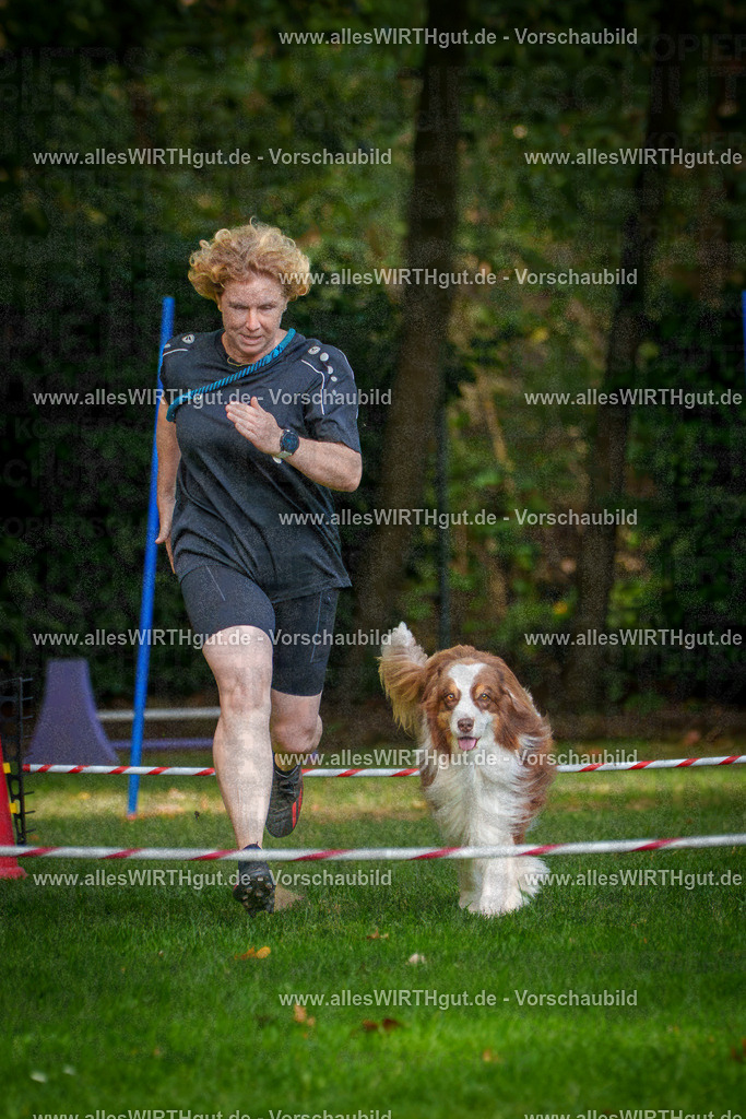 THS_Turnier_27-09-2026-allesWIRTHgut_Tierfotografie-7R506888 | Professionelle Tierfotografie in Mönchengladbach von Daniel Wirth (allesWIRTHgut). Liebevolle & natürliche Bilder von Hunden & Katzen für unvergessliche Erinnerungen.