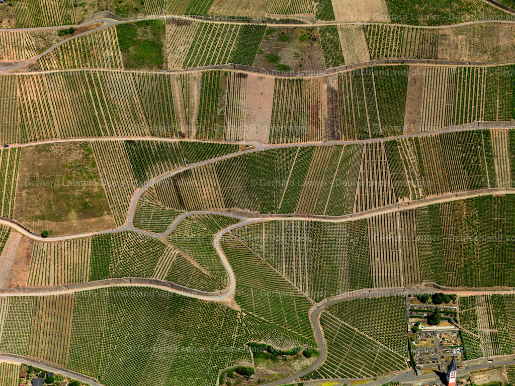 Weinberge-Merl-3114435 | Weinberge bei Merl