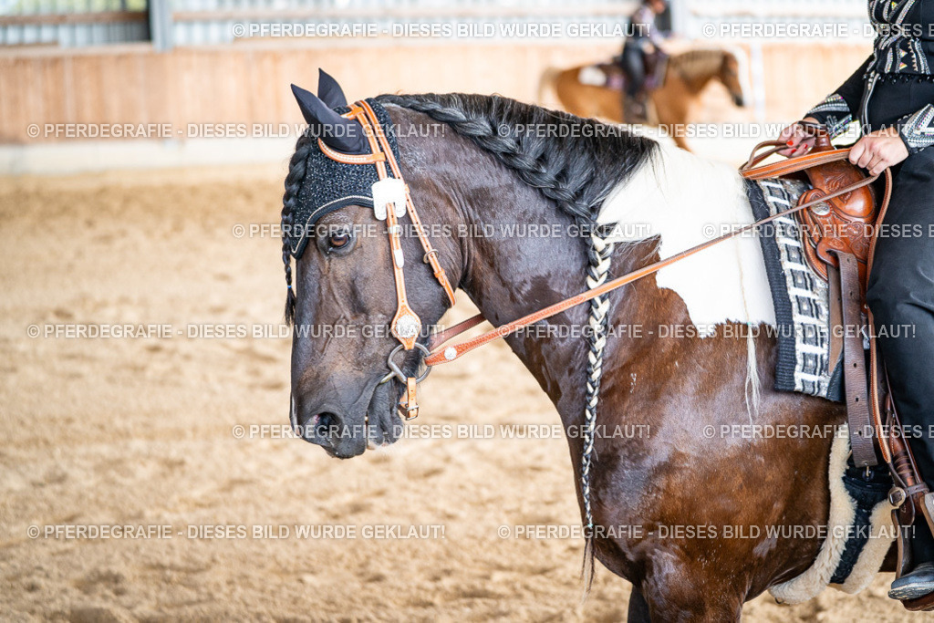 DSC09153 | Pferdegrafie