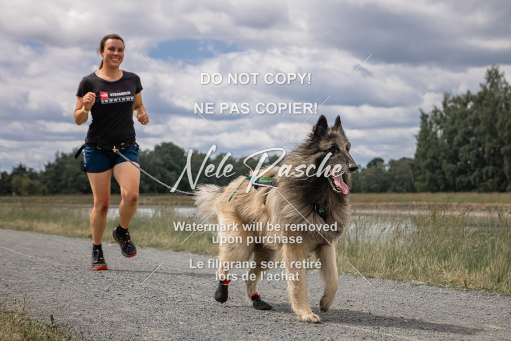 nelerasche_BuHu2026_SaCC1100-1200_218 | nelerasche