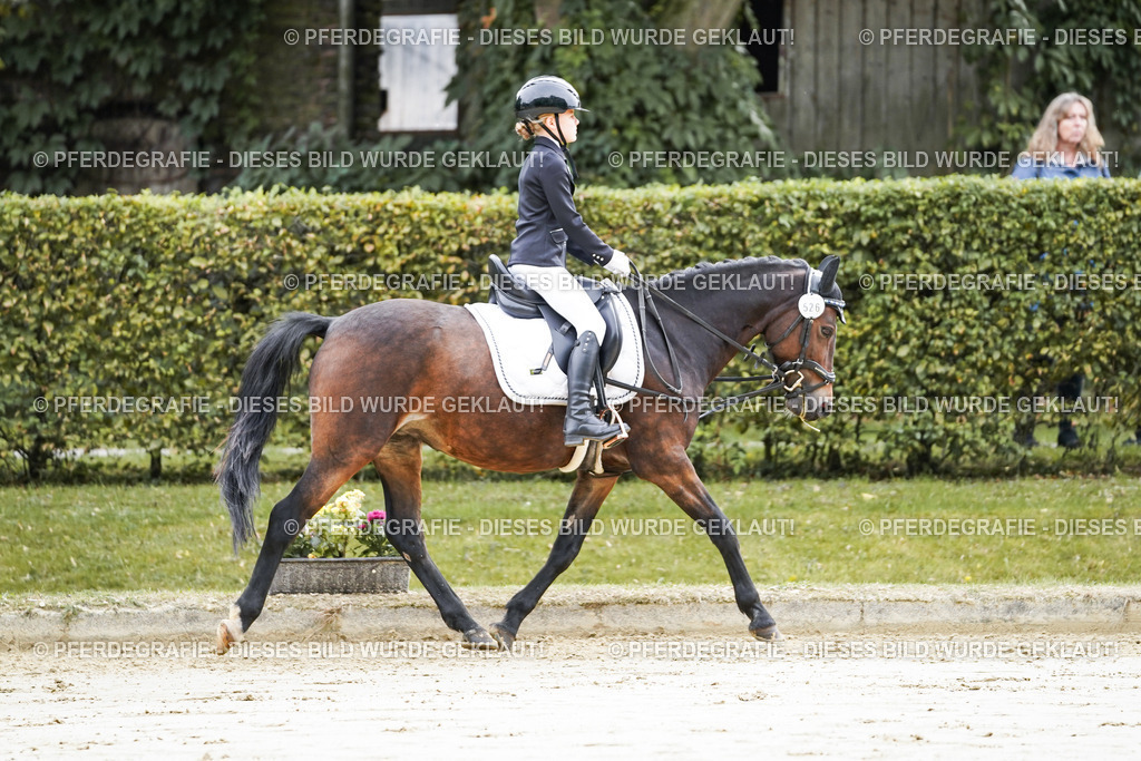 DSC05236 | Pferdegrafie