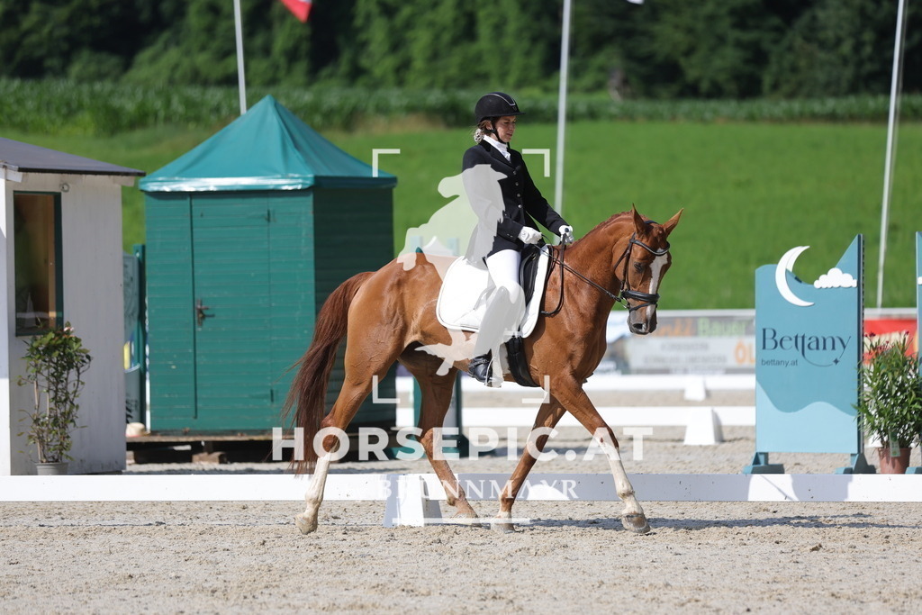 0P6A8985 | Willkommen bei Brunnmayr - Design & Fotografie – Ihrem Spezialisten für Reitturniere und Pferdeveranstaltungen in Oberösterreich, Salzburg und Bayern! Seit über 17 Jahren sind wir leidenschaftlich dabei.