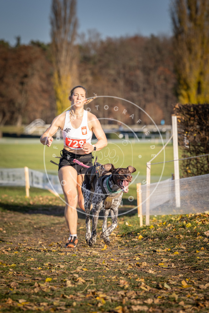 CaniXpix_DV3A2005 | Hundefotografie, Tierfotograf, Pfotenfotografie, Fotoshooting Hund, Hunde Portrait, Hundesport, Hundeportraits, Heideshooting, Hunde, Sportfotograf, Hundefotograf, Turnierhundsport, THS,  - Realisiert mit Pictrs.com
