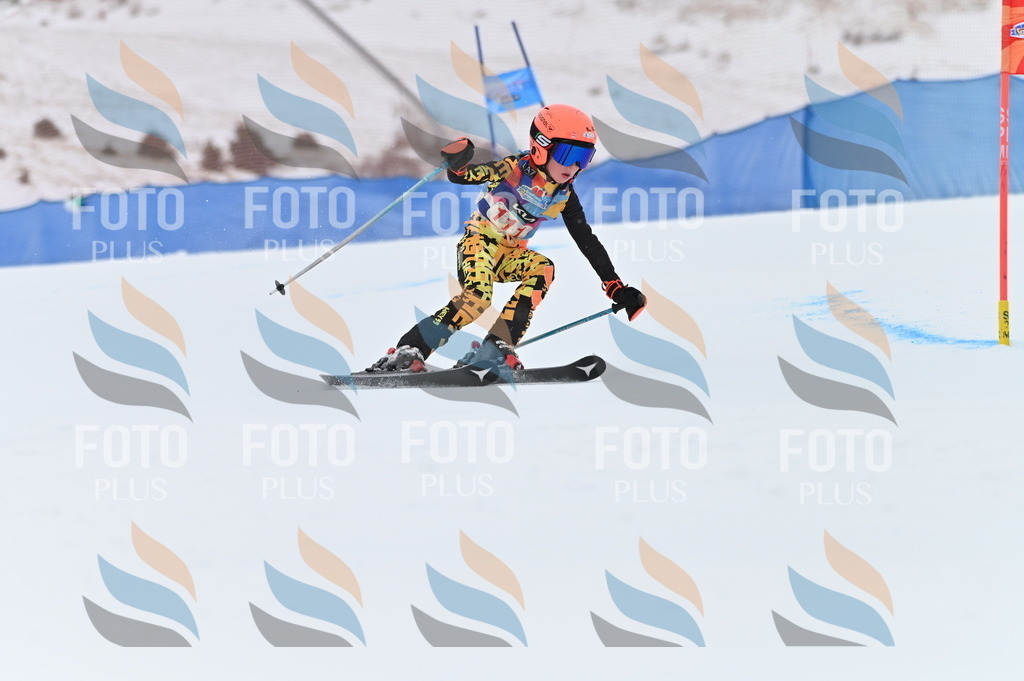 BGV_9447 | holidayphoto