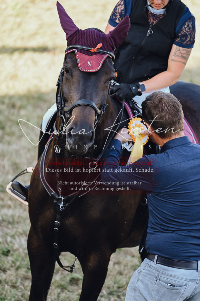 DSC_3284 | Pferde- und Turnierfotografie in Westsachsen. Pferdeportraits, Auftragszeichnungen und intuitive Kunst.