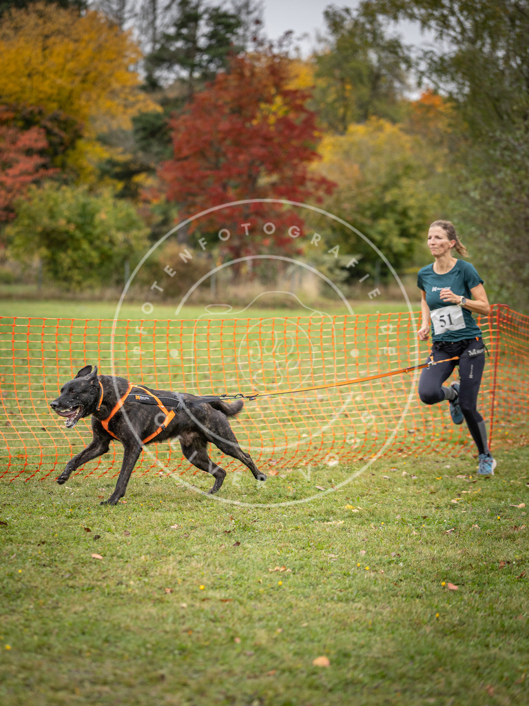 Pfotenfotografie_DV3A2494 | Hundefotografie, Tierfotograf, Pfotenfotografie, Fotoshooting Hund, Hunde Portrait, Hundesport, Hundeportraits, Heideshooting, Hunde, Sportfotograf, Hundefotograf, Turnierhundsport, THS,  - Realisiert mit Pictrs.com