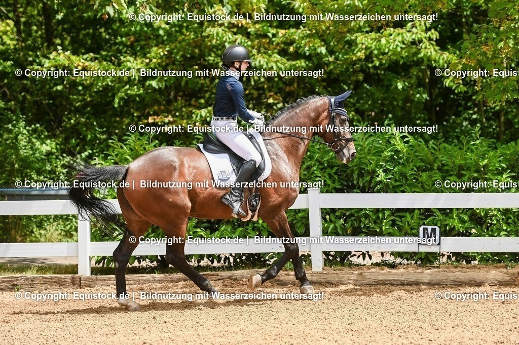 20230716_03_Dressurprfg. Kl.L - Tr._0281 | equistock