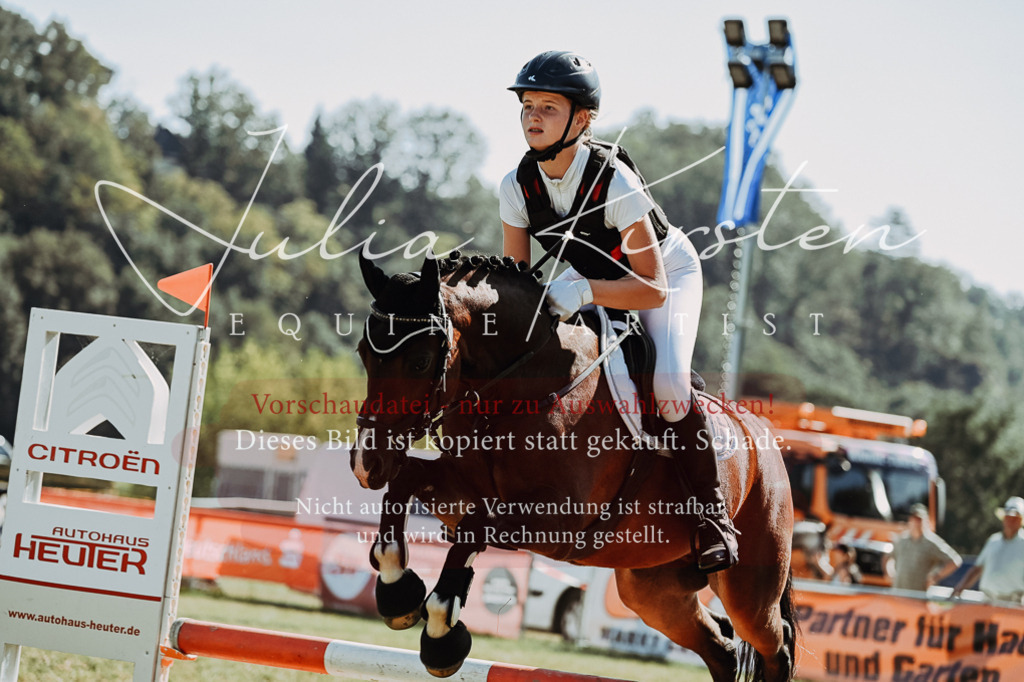 DSC_6834 | Pferde- und Turnierfotografie in Westsachsen. Pferdeportraits, Auftragszeichnungen und intuitive Kunst.