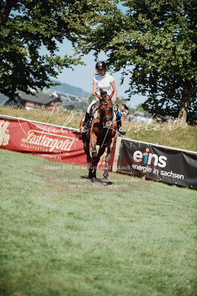 DSC_3378 | Pferde- und Turnierfotografie in Westsachsen. Pferdeportraits, Auftragszeichnungen und intuitive Kunst.