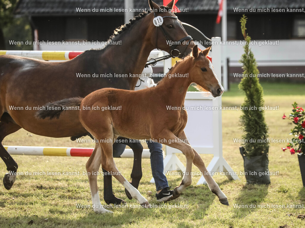 598A3156 | photographylinaismer - Realisiert mit Pictrs.com