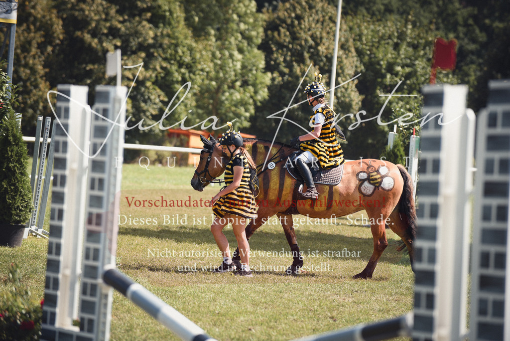 DSC_0299 | Pferde- und Turnierfotografie in Westsachsen. Pferdeportraits, Auftragszeichnungen und intuitive Kunst.