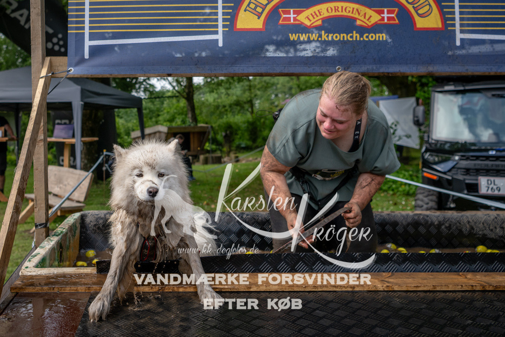 1110_ZZ92933 | kk-dogfotos