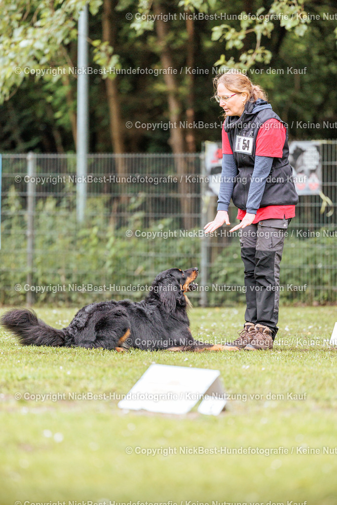 RO-Blumenthal-2026-Nickbest-Hundefotografie-0992 | Dein Hund! Dein Moment! Deine Erinnerungen! Hundefotografie in Bremen Blumenthal. Ich fange die besonderen Momente deines Vierbeiners ein – ob Indoor mit Blitzanlage oder in der freien Natur. Sicher dir dein Moment und dein Termin für eure Erinnerungen.