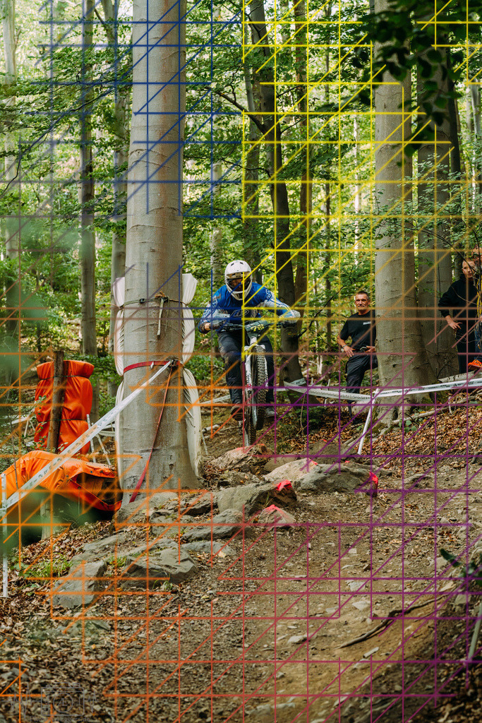 PAE-2327 | Einzigartige Fotokunst für dein Zuhause: Entdecke hochwertige Wandbilder, edle Prints und emotionale Motive von Wildlife, Natur und Landschaften - Realisiert mit Pictrs.com