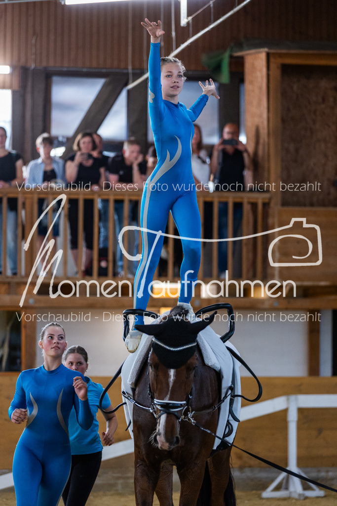 GS-NS-080 | MomenTaufnahmen Pferdesportfotos