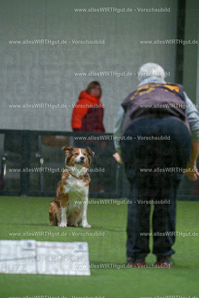 7R504064 | Professionelle Tierfotografie in Mönchengladbach von Daniel Wirth (allesWIRTHgut). Liebevolle & natürliche Bilder von Hunden & Katzen für unvergessliche Erinnerungen.