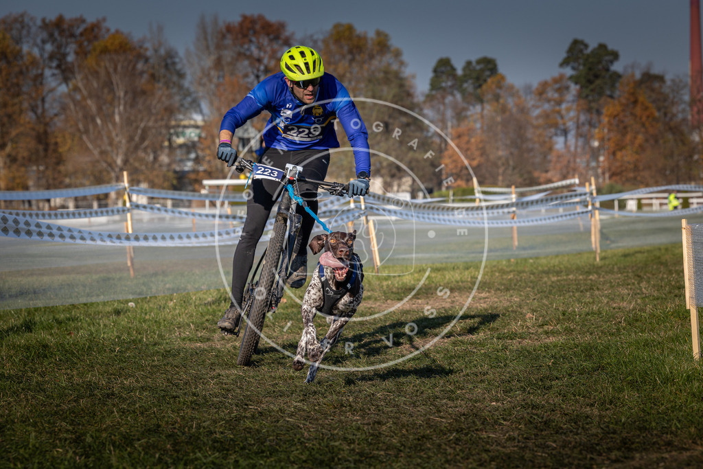 CaniXpix_0L8A6300 | Hundefotografie, Tierfotograf, Pfotenfotografie, Fotoshooting Hund, Hunde Portrait, Hundesport, Hundeportraits, Heideshooting, Hunde, Sportfotograf, Hundefotograf, Turnierhundsport, THS,  - Realisiert mit Pictrs.com