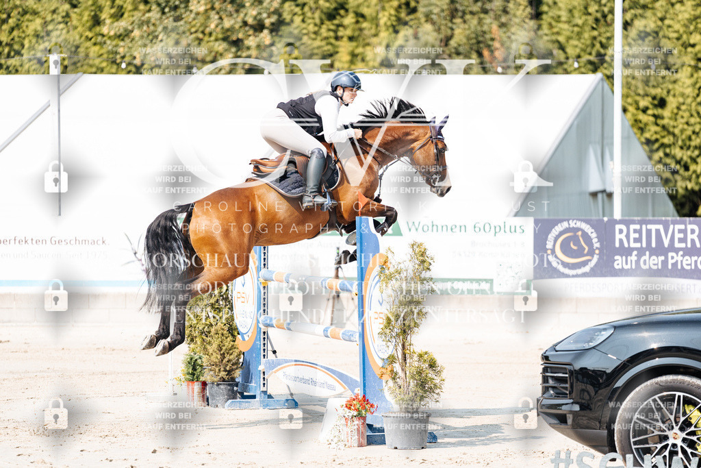 CK902055 | Turnierfotografie Pferdefotografie Trier Rheinland-Pfalz Pferdesport Reitsport Tierfotografie Sportfotografie Pferdevideo Pferdevideografie Equestrianvideography equestrianphotography  - Realisiert mit Pictrs.com