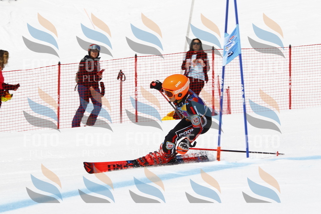 _U3G5044 | holidayphoto