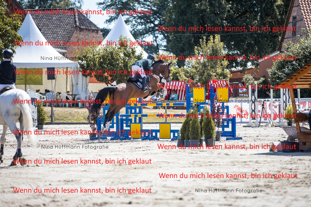BK1A6257 | Turnierbilder Turnierfotos Nina Hüffmann Turnierfotografie Pferdefotografie Tierzeichnung Haustierzeichnung Pferdezeichnung Hundezeichnung Videograf  - Realisiert mit Pictrs.com