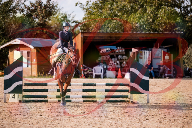 2026_10_03_Siefer-Hof_155605_Z81_75331599 | Professionelle Reitsport-, Turnier- und Eventfotografie von Robert Broda. Galerien mit ausgewählten und bearbeiteten Bildern direkt online ansehen und bestellen.