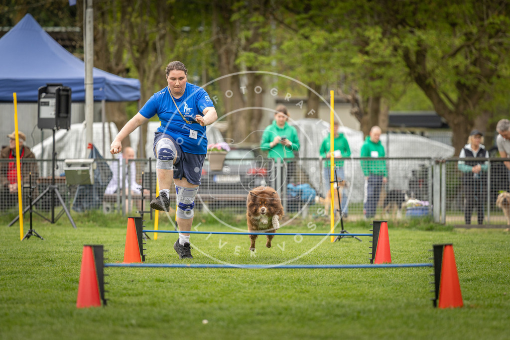 Pfotenfotografie_DV3A2594 | Hundefotografie, Tierfotograf, Pfotenfotografie, Fotoshooting Hund, Hunde Portrait, Hundesport, Hundeportraits, Heideshooting, Hunde, Sportfotograf, Hundefotograf, Turnierhundsport, THS,  - Realisiert mit Pictrs.com